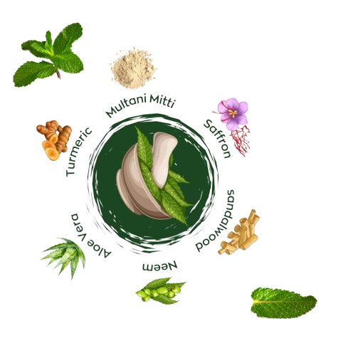 Ayurvedic Ingredients