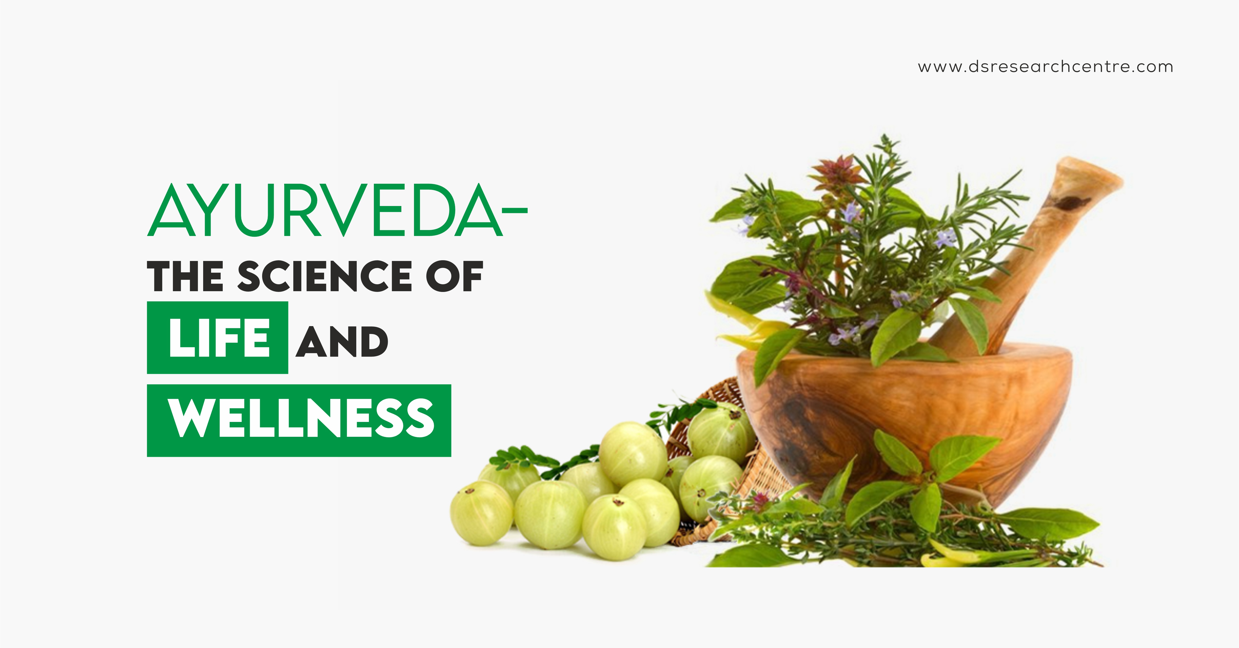 Ayurvedic Herbs